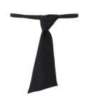 Cravatta ROMA0209.NE