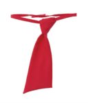 Cravatta ROMA0209.RO