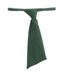 Cravatta ROMA0209.VE
